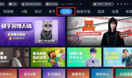 91看电视直播手机版1.6,全新升级，畅享高清直播体验